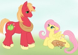 Size: 900x636 | Tagged: safe, artist:watergleam, big macintosh, fluttershy, deer, earth pony, pegasus, pony, fawn, fluttermac, male, shipping, stallion, straight