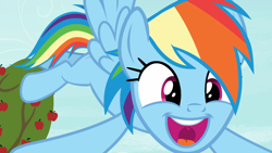 Size: 1920x1080 | Tagged: safe, derpibooru import, screencap, rainbow dash, pegasus, pony, grannies gone wild, solo