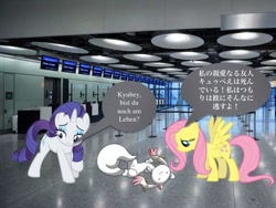 Size: 720x540 | Tagged: safe, fluttershy, rarity, incubator (species), airport, death, emiri katou, german, irl, japanese, kyubey, photo, ponies in real life, puella magi madoka magica, rubina kuraoka, sad, somber, voice actor joke