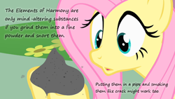 Size: 800x450 | Tagged: safe, edit, edited screencap, screencap, fluttershy, pegasus, pony, a bird in the hoof, ash, crack, drugs, elements of harmony, insane pony thread, solo, text