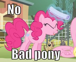 Size: 560x460 | Tagged: safe, screencap, pinkie pie, chipmunk, earth pony, pony, filli vanilli, bad pony, hitting, image macro, meme, solo, swatting