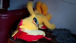 Size: 960x546 | Tagged: safe, artist:ec31314, sunset shimmer, pony, irl, life size, photo, plushie