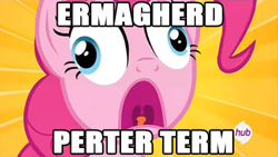 Size: 500x281 | Tagged: safe, edit, edited screencap, screencap, pinkie pie, earth pony, pony, filli vanilli, caption, derp, ermahgerd, hub logo, meme, solo