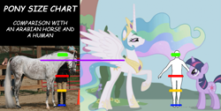 Size: 885x446 | Tagged: safe, princess celestia, twilight sparkle, horse, human, /mlp/, 4chan, comic sans, comparison, height, hoers, irl, photo, size chart, size comparison