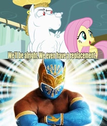 Size: 640x756 | Tagged: safe, bulk biceps, fluttershy, pegasus, pony, blonde, blonde mane, blonde tail, blue eyes, curtain, ear piercing, exploitable meme, female, looking to side, looking to the right, male, mare, meme, open mouth, piercing, pink mane, pink tail, red eyes, replacement meme, sin cara, smiling, spread wings, stallion, text, white coat, wings, wwe, yellow coat