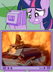 Size: 564x760 | Tagged: safe, derpibooru import, twilight sparkle, book, exploitable meme, fahrenheit 451, fire, meme, that pony sure does love books, tv meme