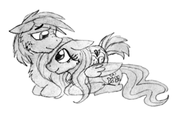 Size: 960x640 | Tagged: safe, artist:ilikepudding24, big macintosh, fluttershy, earth pony, pegasus, pony, fluttermac, male, monochrome, shipping, sketch, stallion, straight