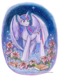 Size: 631x827 | Tagged: safe, artist:jayelle-anderson, derpibooru import, twilight sparkle, twilight sparkle (alicorn), alicorn, pony, book, female, flower, mare, solo, traditional art