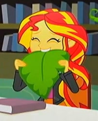 Size: 489x604 | Tagged: safe, screencap, sunset shimmer, epic fails (equestria girls), eqg summertime shorts, equestria girls, cropped, cute, humans doing horse things, shimmerbetes, sunset wants her old digestive system back