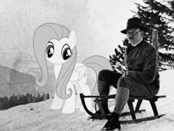 Size: 448x336 | Tagged: safe, artist:fonypan, fluttershy, pegasus, pony, adolf hitler, exploitable meme, meme, photoshop, silly