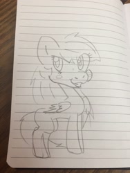 Size: 2448x3264 | Tagged: safe, artist:devorah, derpibooru import, rainbow dash, pegasus, pony, lined paper, photo, solo, traditional art, wip