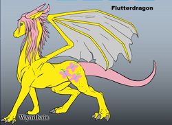 Size: 740x540 | Tagged: safe, fluttershy, dragon, dragonified, flutterdragon, solo, species swap