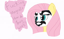 Size: 2700x1685 | Tagged: safe, artist:thelimeofdoom, fluttershy, pegasus, pony, insane clown posse, meme, shaggy 2 dope, solo