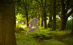 Size: 1920x1200 | Tagged: safe, artist:bengo538, artist:destructodash, edit, fluttershy, forest, grass, happy, irl, pathway, photo, ponies in real life, shadow, tree, vector