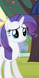 Size: 391x783 | Tagged: safe, screencap, rarity, pony, unicorn, bats!, cropped, female, mare, solo