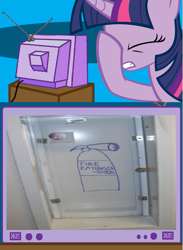 Size: 563x771 | Tagged: safe, derpibooru import, twilight sparkle, exploitable meme, facehoof, fire extinguisher, meme, safety, seems legit, tv meme