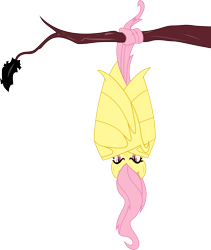 Size: 5000x5912 | Tagged: safe, artist:darknisfan1995, fluttershy, bat pony, pony, bats!, absurd resolution, flutterbat, hanging, race swap, simple background, solo, transparent background, tree, upside down