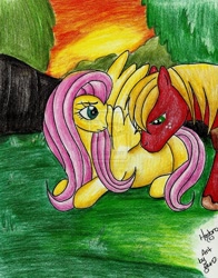 Size: 1024x1307 | Tagged: safe, artist:plushiebeauty, big macintosh, fluttershy, earth pony, pegasus, pony, fluttermac, male, pregnant, sensibly-proportioned pregnancy, shipping, stallion, straight, traditional art