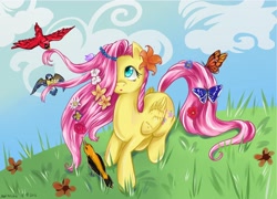 Size: 2050x1476 | Tagged: dead source, safe, artist:matrosha123, fluttershy, butterfly, pegasus, pony, alternate hairstyle, animal, makeover, solo