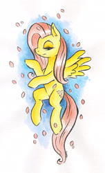 Size: 1233x2028 | Tagged: safe, artist:raph13th, fluttershy, pegasus, pony, female, mare, solo, traditional art