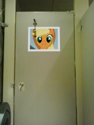 Size: 1536x2048 | Tagged: safe, applejack, bathroom, irl, photo, prank, toilet, why