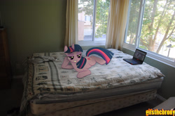 Size: 3872x2592 | Tagged: safe, artist:utterlyludicrous, derpibooru import, twilight sparkle, bed, computer, irl, laptop computer, photo, ponies in real life, solo, sultry pose, tree, window