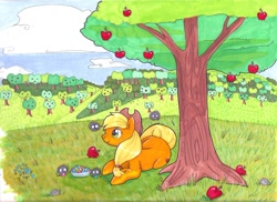 Size: 900x655 | Tagged: safe, artist:seethecee, applejack, earth pony, pony, apple, solo, traditional art, tree