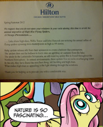 Size: 487x599 | Tagged: safe, idw, fluttershy, pegasus, pony, spider, blue coat, blue eyes, chicago, dialogue, exploitable meme, female, flying spiders, hotel, looking up, mare, meme, multicolored tail, nature is so fascinating, nope, obligatory pony, pink coat, pink mane, smiling, speech bubble, wings, yellow coat