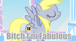 Size: 590x320 | Tagged: safe, screencap, derpy hooves, pegasus, pony, bitch i'm fabulous, female, image macro, mare, meme, proud, solo, vulgar