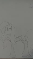 Size: 918x1632 | Tagged: safe, artist:bluesapphire97, fluttershy, pegasus, pony, sketch, solo, traditional art