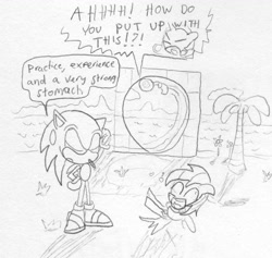 Size: 1156x1097 | Tagged: safe, artist:slizergiy, derpibooru import, rainbow dash, rarity, pegasus, pony, unicorn, ball, crossover, dialogue, eyes closed, laughing, meme, monochrome, rariball, rolling, sonic the hedgehog, sonic the hedgehog (series), spin dash