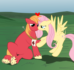 Size: 1340x1272 | Tagged: safe, artist:sotoco, big macintosh, fluttershy, earth pony, pegasus, pony, bandage, blood, cropped, fluttermac, kissing, male, nose kiss, shipping, stallion, straight