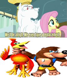 Size: 535x625 | Tagged: safe, bulk biceps, fluttershy, pegasus, pony, season 4, banjo kazooie, blonde, blonde mane, blonde tail, blue eyes, curtain, ear piercing, exploitable meme, female, green eyes, looking to side, looking to the right, male, mare, meme, open mouth, piercing, pink mane, pink tail, rareware, red eyes, replacement meme, smiling, spread wings, stallion, text, video game, white coat, wings, yellow coat