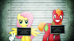 Size: 1280x720 | Tagged: safe, artist:abydos91, artist:aftermathmusic, artist:chainchomp2 edit, angel bunny, big macintosh, fluttershy, earth pony, pegasus, pony, annoyed, bonnie and clyde, fluttermac, grin, male, mugshot, scared, shipping, smiling, spread wings, stallion, straight, wide eyes