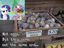 Size: 1024x768 | Tagged: safe, rarity, spike, dragon, pony, unicorn, a dog and pony show, dragon egg, gem, geode, poop