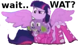 Size: 317x183 | Tagged: safe, derpibooru import, spike, twilight sparkle, dog, equestria girls, equestria girls (movie), meme, spike the dog