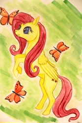 Size: 800x1200 | Tagged: safe, artist:thatdenver, fluttershy, butterfly, pegasus, pony, solo, traditional art