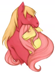 Size: 1493x2010 | Tagged: safe, artist:ronniesponies, big macintosh, fluttershy, anthro, female, fluttermac, male, shipping, straight