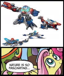 Size: 1190x1418 | Tagged: safe, fluttershy, pegasus, pony, blue coat, blue eyes, chase (transformers), dialogue, exploitable meme, female, looking up, mare, meme, multicolored tail, nature is so fascinating, obligatory pony, optimus prime, pink coat, pink mane, smiling, speech bubble, transformers, transformers rescue bots, wings, yellow coat