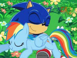 Size: 443x332 | Tagged: safe, derpibooru import, rainbow dash, pegasus, pony, copy and paste, crossover, cut and paste, sonic the hedgehog, sonic the hedgehog (series)