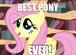 Size: 740x538 | Tagged: safe, fluttershy, pegasus, pony, best pony, cute, image macro, open mouth, smiling, solo