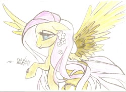 Size: 1024x745 | Tagged: safe, artist:shadunote, fluttershy, pegasus, pony, female, mare, pink mane, solo, yellow coat