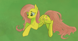 Size: 4570x2440 | Tagged: safe, artist:darkflame75, fluttershy, pegasus, pony, drawing, female, mare, solo