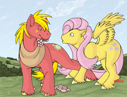 Size: 3292x2512 | Tagged: safe, artist:artistdragon, big macintosh, fluttershy, earth pony, pegasus, pony, flower, fluttermac, male, shipping, stallion, straight, unshorn fetlocks