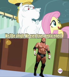 Size: 636x714 | Tagged: safe, bulk biceps, fluttershy, pegasus, pony, blonde, blonde mane, blonde tail, blue eyes, curtain, ear piercing, exploitable meme, female, looking to side, looking to the right, male, mare, meme, open mouth, piercing, pink mane, pink tail, red eyes, replacement meme, smiling, spread wings, stallion, text, triple h, white coat, wings, wwe, yellow coat