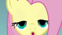 Size: 640x360 | Tagged: safe, fluttershy, pegasus, pony, image macro, kissy face, solo, wat