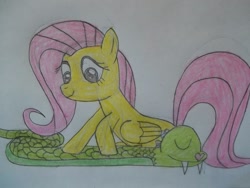 Size: 1032x774 | Tagged: safe, artist:porygon2z, fluttershy, pegasus, pony, snake, female, mare, pink mane, yellow coat