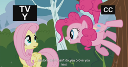 Size: 1152x609 | Tagged: safe, screencap, fluttershy, pinkie pie, earth pony, pegasus, pony, it ain't easy being breezies, meme, pinkie being pinkie, pinkie physics, prehensile tail, youtube caption