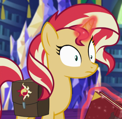 Size: 724x706 | Tagged: safe, screencap, sunset shimmer, equestria girls, mirror magic, spoiler:eqg specials, book, cropped, saddle bag, solo