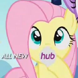 Size: 330x332 | Tagged: safe, screencap, fluttershy, pegasus, pony, pinkie pride, hub logo, hubble, logo, the hub